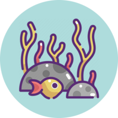 Sealife