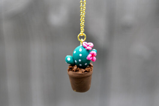 Pink cactus