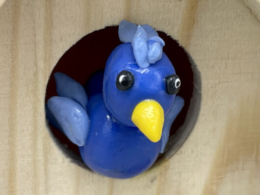 Blue bird's house - immagine 3