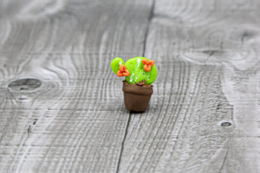 Cactus - immagine 2