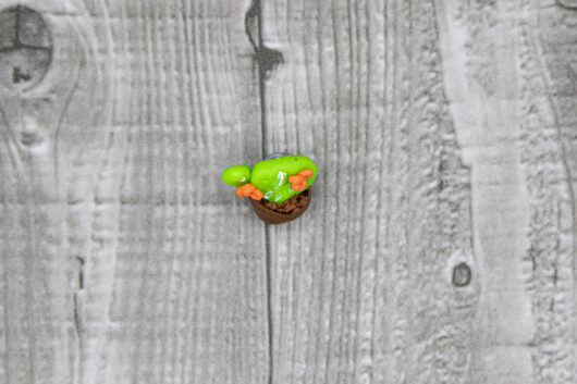 Cactus - immagine 3