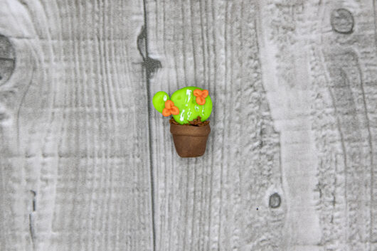 Cactus - immagine 4