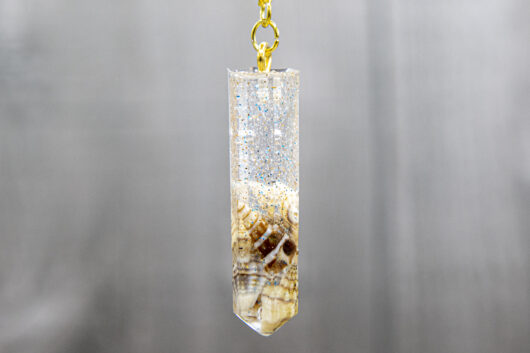 Shells - immagine 3