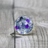 Stardust - immagine 2